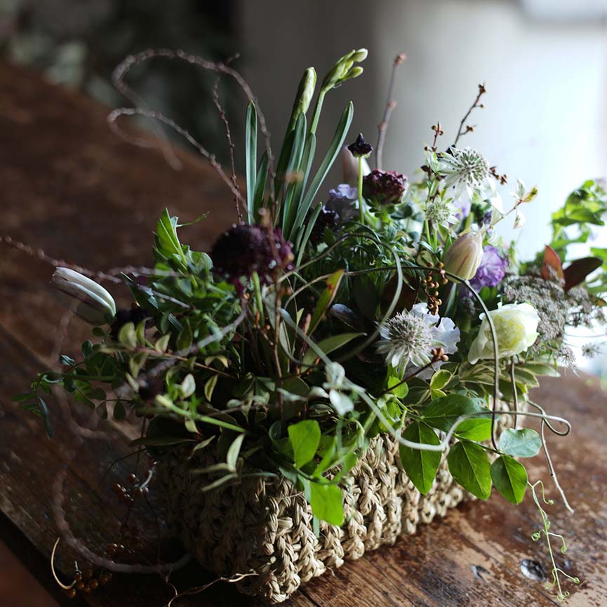 2月のworkshopのお知らせです！